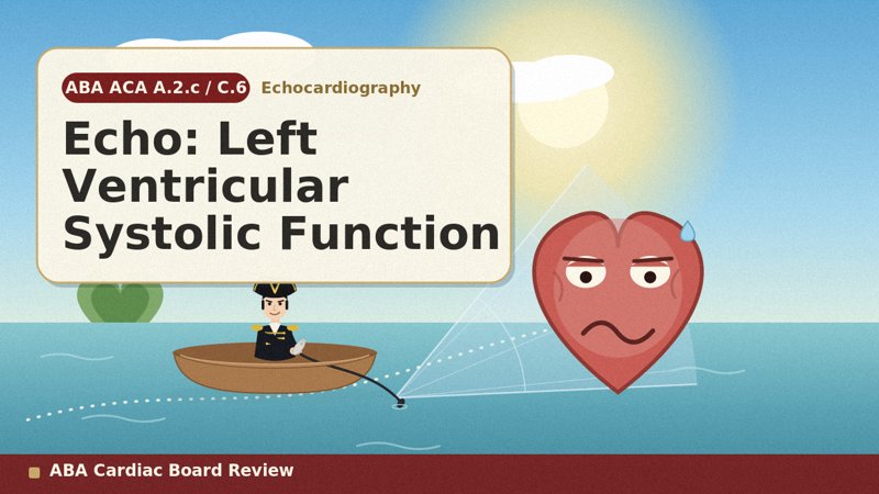 Echo — LV Function