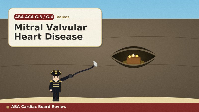 Mitral Valvular Heart Disease
