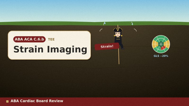 Strain Imaging