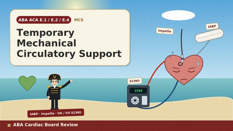 Temporary Mechanical Circulatory Support: IABP, Impella & ECMO